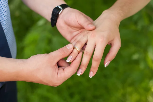 on the wedding day, the husband puts on a wedding ring to the bride in a white dress and it is happiness when two lovers\' hearts are united in a family