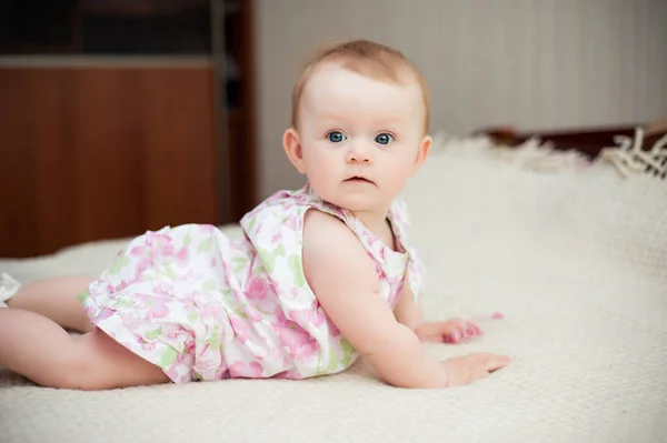 6个月大 蓝眼睛的小女孩很快乐 — 图库照片