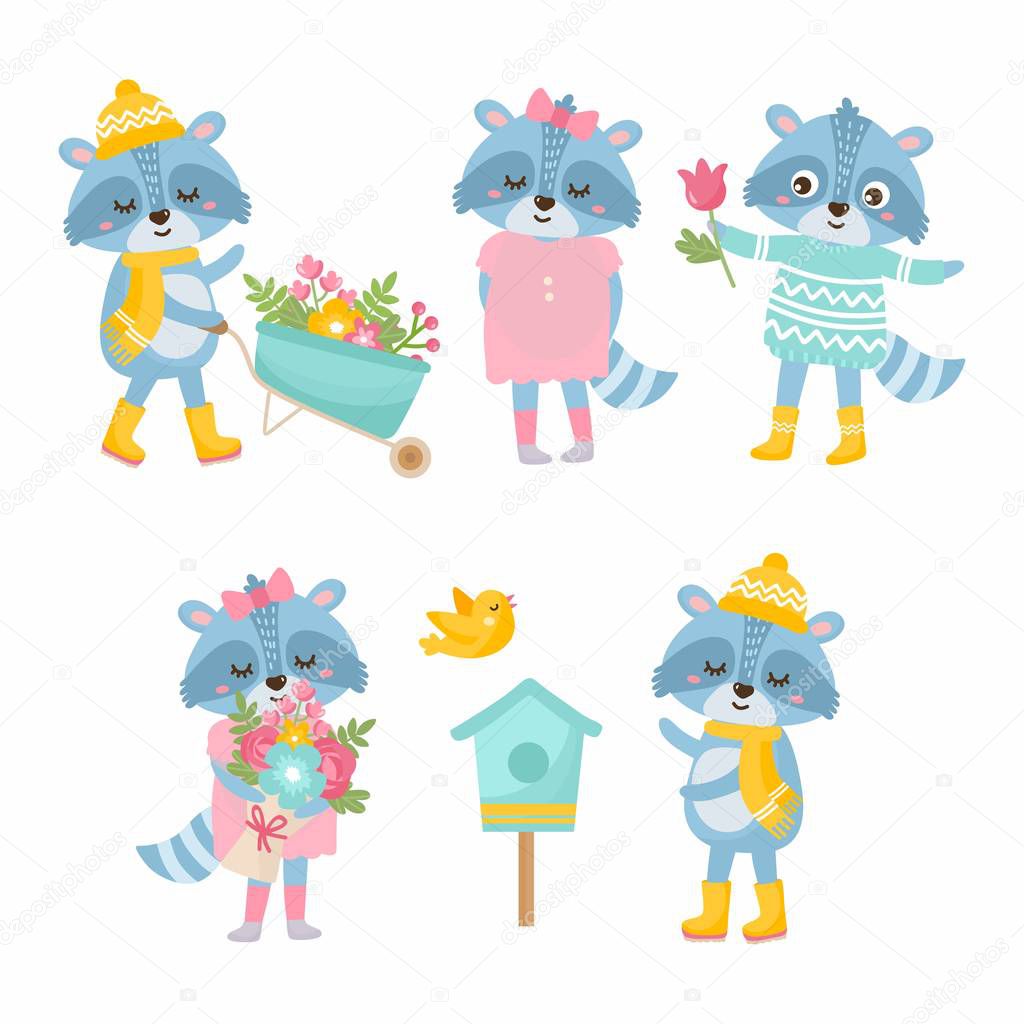 Cute animals collection. Raccoon with a garden wheelbarrow, gives spring flowers bouquet, raccoon with bird house, floral bouquet. Animals rejoices in spring.