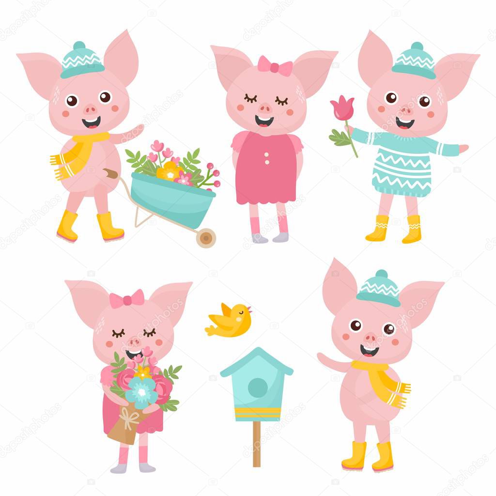 Cute animals collection. Piglet with a garden wheelbarrow, gives spring flowers bouquet, piglet with bird house, floral bouquet. Animals rejoices in spring.
