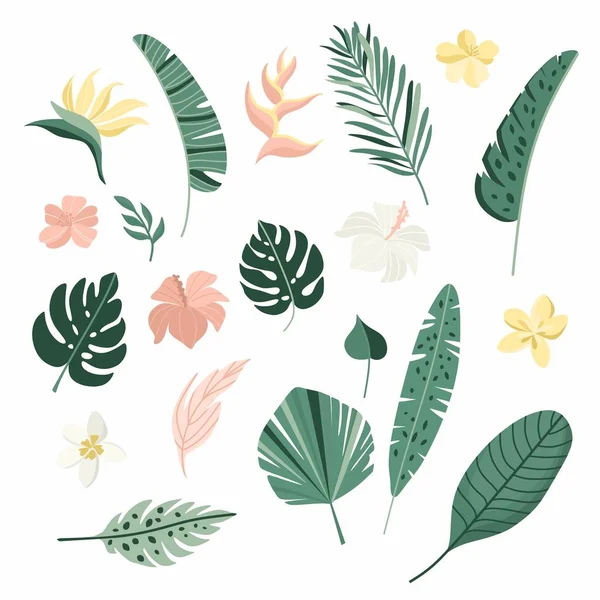 Tropical leaves and flowers collection. Vector summer illustration. Greenery, palm leaves, banana leaf, hibiscus, plumeria flowers. — Stock Vector