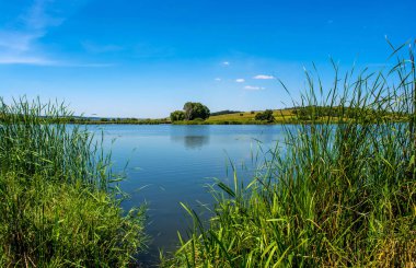 Güzel Mavi Göl çevresinde doğa fotoğrafı