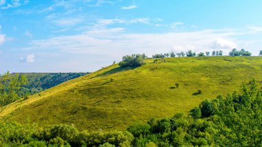 Bir güzel hill ve yeşil çim fotoğrafı