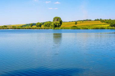 Güzel Mavi Göl çevresinde doğa fotoğrafı