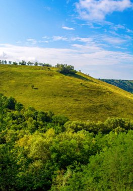 Bir güzel hill ve yeşil çim fotoğrafı