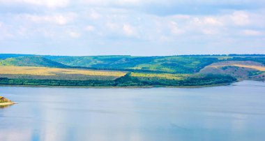 Güzel bir mavi bay yaz adlı fotoğrafı