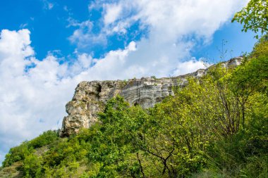 Güzel yüksek uçurumdan ve yeşil bitkiler fotoğrafı