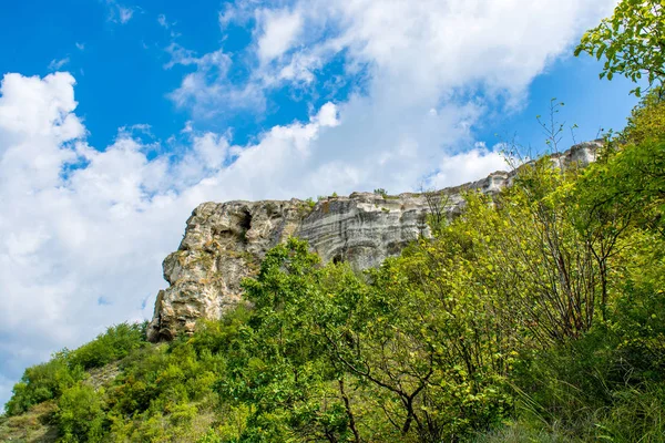 Güzel yüksek uçurumdan ve yeşil bitkiler fotoğrafı