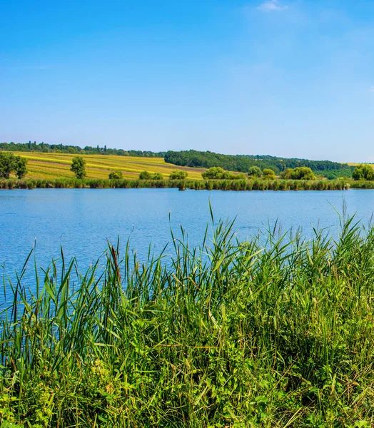 Foto de la naturaleza alrededor de hermoso lago azul — Foto de Stock