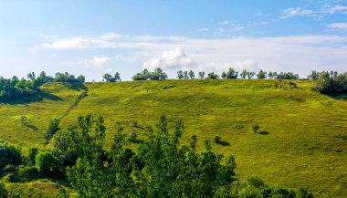 Bir güzel hill ve yeşil çim fotoğrafı