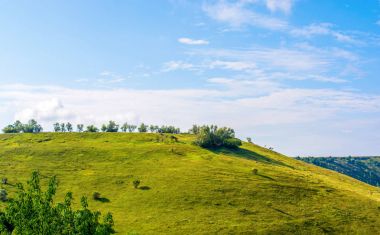 Bir güzel hill ve yeşil çim fotoğrafı