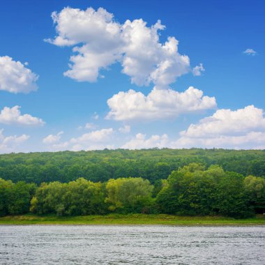 Fotoğraf büyük nehir, plaj görüntülemek