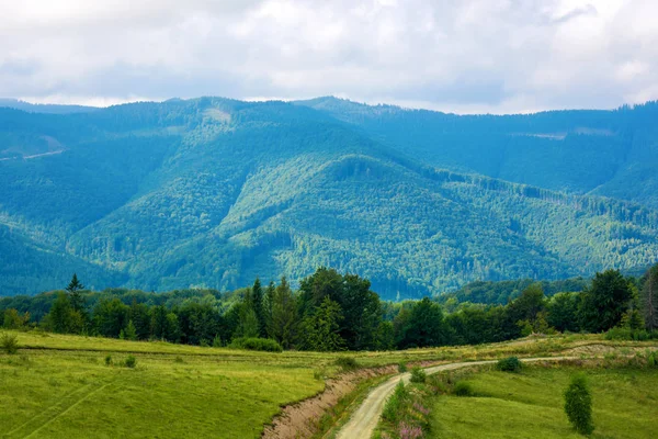 Yeşil orman ve Karpat Dağları vadide fotoğrafı