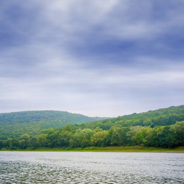 Fotoğraf büyük nehir, plaj görüntülemek