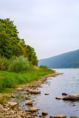 Fotoğraf büyük nehir, plaj görüntülemek