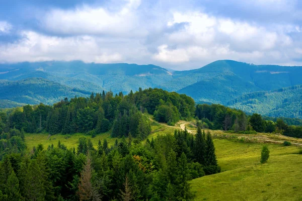 绿色的森林和山谷中喀尔巴阡山的照片 — 图库照片