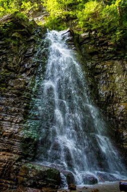 Fotoğraf Karpat Dağları'nda yüksek şelale