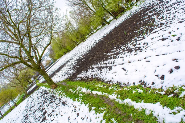 Foto de nieve caída en primavera durante el período de floración —  Fotos de Stock