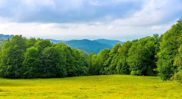 Zdjęcie z zielonego lasu i doliny w Karpatach — Zdjęcie stockowe