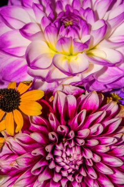 Yakın çekim soyut çiçek arka plan fotoğrafı oluşur birçok çiçek