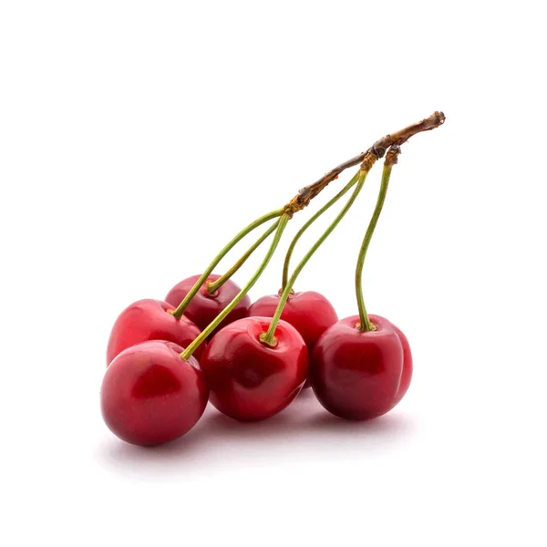 Foto de cerezas rojas con colas aisladas sobre fondo blanco — Foto de Stock