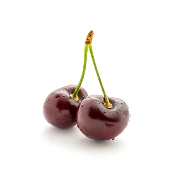 Foto de cerezas rojas con colas y gotas de agua aisladas sobre fondo blanco — Foto de Stock