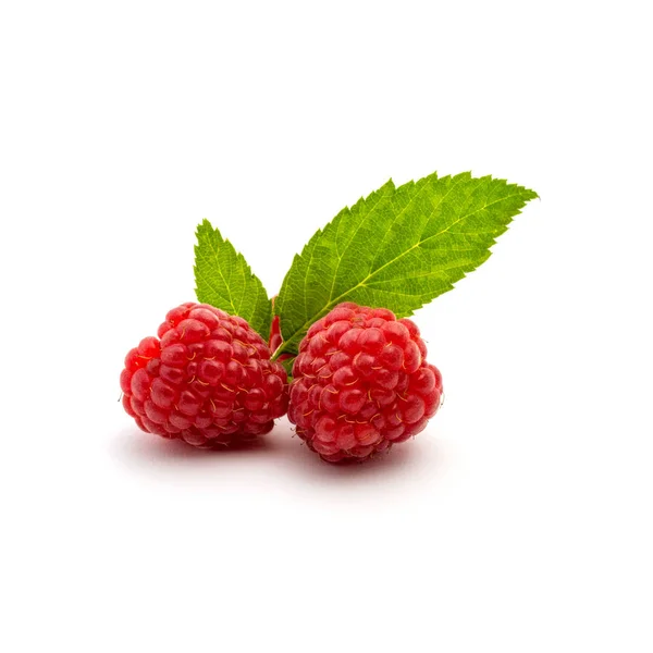 Photo of fresh red raspberry with leaves isolated on white background — Stock Photo, Image