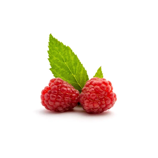 Photo of fresh red raspberry with leaves isolated on white background — Stock Photo, Image