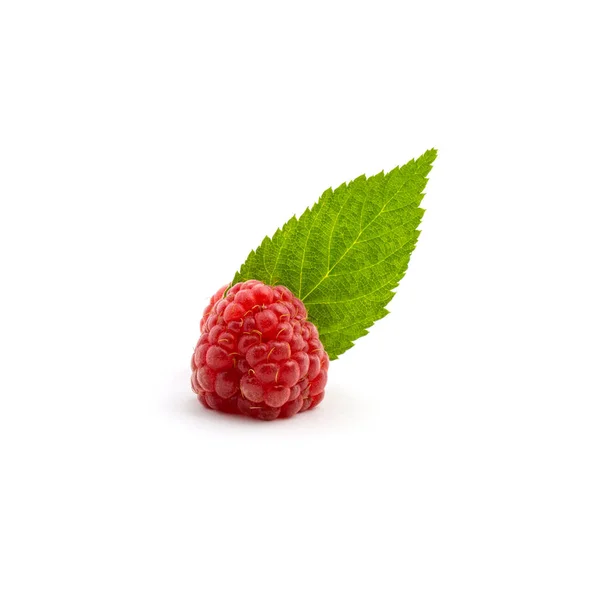 Photo of fresh red raspberry with leaves isolated on white background — Stock Photo, Image