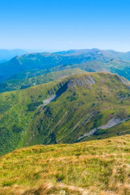 Karpat dağlarında yaz günü, güzel yeşil çayırlar ve tepelerin fotoğrafı.