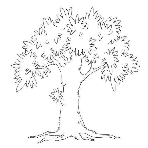 Kolorowanka drzewa. Drzewo liściaste wektor na białym tle — Wektor stockowy