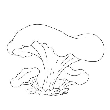 Orman mantar. Yenilebilir mantar Cantharellus cibarius. Boyama kitabı vektör izole.