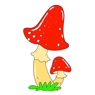 Zehirli mantar sinek agaric. Miselyum vektör mantar