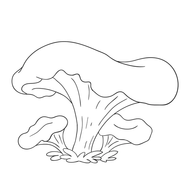 Funghi della foresta. Finferli ai funghi commestibili. Libro da colorare vettore isolato . — Vettoriale Stock