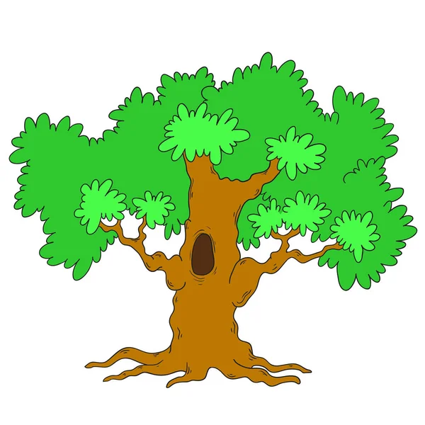 Árbol verde sobre fondo blanco. Un árbol grande con un hueco. Hojas verdes . — Vector de stock