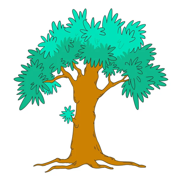 Träd mall för design. Vector isolerade. Årstider, sommar. Ett träd med gröna blad. — Stock vektor