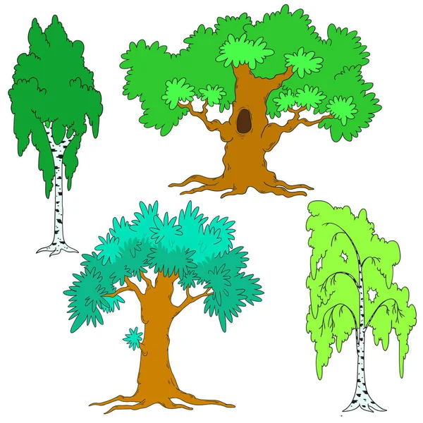 Conjunto de árboles vectoriales. Plantilla para diseño. Vector aislado. Estaciones, verano, primavera. Un árbol con hojas verdes . — Vector de stock
