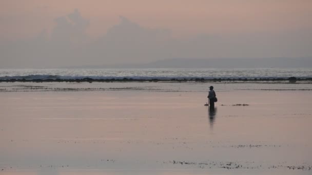Paisaje matutino de Sanur Beach, Bali — Vídeo de stock