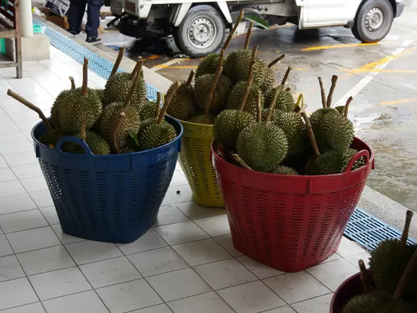 Frutas tropicales (Durian ) —  Fotos de Stock
