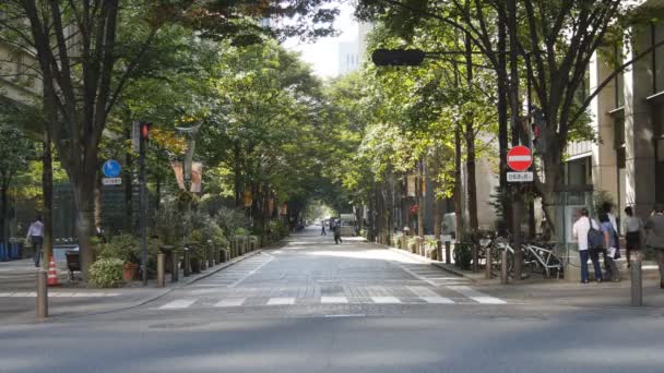 Naka-dori, Marunouchi, Tokio — Vídeos de Stock