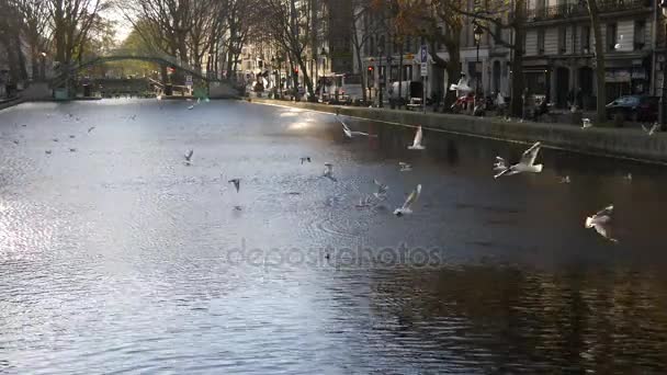 Canal de San Martín por la mañana — Vídeo de stock