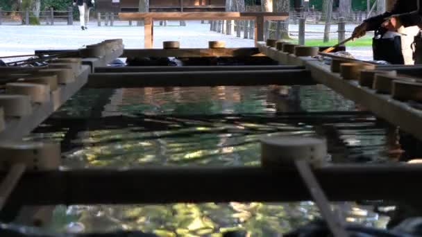 Pabellón de agua Temizuya en un santuario — Vídeo de stock