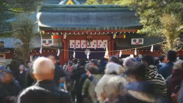 初詣、新年の日に神社を訪問 — ストック動画