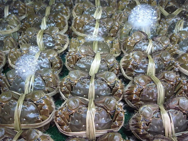 Kepiting mitten Cina atau kepiting berbulu Shanghai — Stok Foto