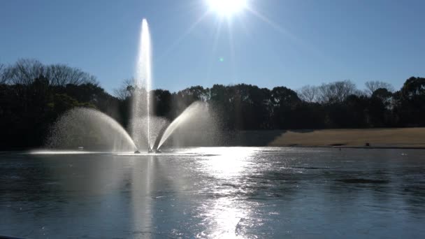 Fountain in a frozen pond — Stock Video