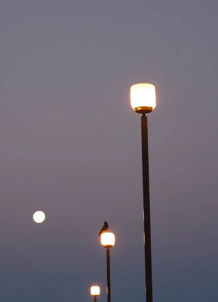 Street lights with the full moon — Stock Photo, Image