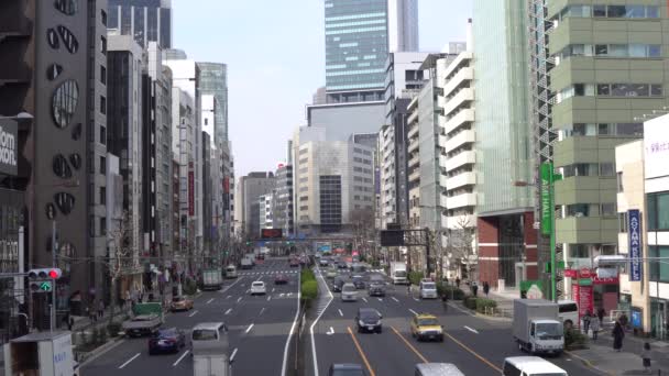 Aoyama ulice v Tokiu — Stock video