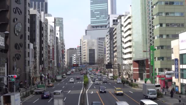 Via Aoyama a Tokyo — Video Stock