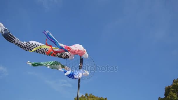 Stelle filanti a forma di carpa chiamate 'koi-nobori' per celebrare la Giornata giapponese dei bambini, 5 maggio — Video Stock