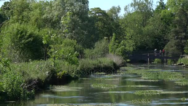 Floden Coln i Bibury — Stockvideo